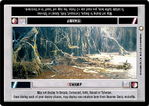 Swamp