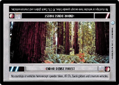 Endor: Dense Forest